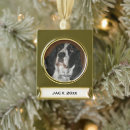 Search for english springer spaniel gifts Animals