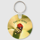 Search for ladybug key rings Cute
