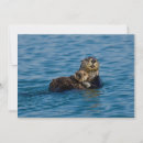 Search for sea otter cards Nature