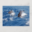 Search for beach guy postcards Florida