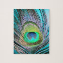 Search for peacock feathers puzzles Birds