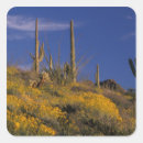 Search for arizona cactus stickers Arid