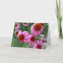 Search for bible verse birthday cards Scripture