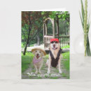 Search for labrador valentines day cards Funny