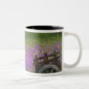 Search for blue bonnets mugs North america
