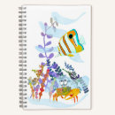 Search for angelfish Ocean