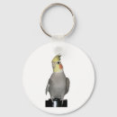 Search for cockatiel key rings Bird