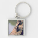 Search for logs key rings Outdoors