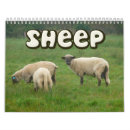 Search for rams office supplies Sheep