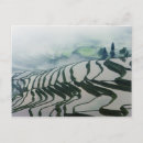 Search for fields postcards Beauty
