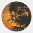 Search for african sunset stickers Nature