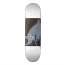 Search for shark skateboards Hammerhead