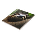 Search for slow tiles Animal