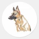 Search for alsatian stickers Gsd