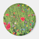 Search for spring photos magnets Blossoms