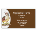 Search for chicks business cards Farming