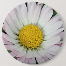 Search for pretty daisy badges Flower