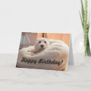 Search for westie birthday cards Terrier