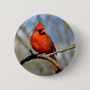 Search for cardinal badges School