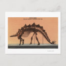 Search for natural history museum postcards Denver