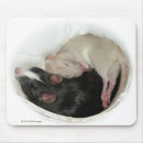 Search for cute rats mousepads Baby