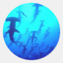 Search for shark teeth stickers Diving