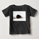 Search for cute rat baby clothes Pet