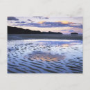 Search for abel tasman postcards New zealand