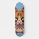 Search for kittens skateboards Adorable
