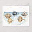 Search for stingray postcards Vintage