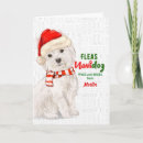 Search for west highland terrier christmas cards Pets