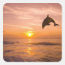 Search for dolphin jumping stickers Sealife