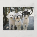 Search for conformation postcards Full length