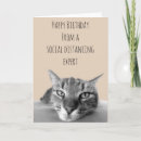 Search for distance Cat