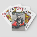 Search for pug playing cards Animal