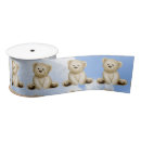 Search for teddy bear ribbon Kids
