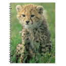 Search for fuzzy notebooks Fur