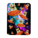 Search for meme magnets Cat