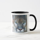 Search for mountain lion mugs Wildlife