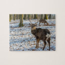 Search for deer puzzles Antlers