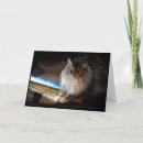 Search for notes pet supplies Rainbow
