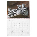 Search for sister calendars Congratulations