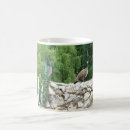 Search for peacock photo mugs Peacocks