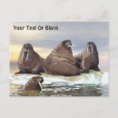 Search for four animals postcards Nature