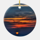 Search for sunrise christmas tree decorations Florida