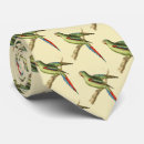 Search for parakeet ties Illustration