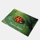 Search for leaf insect Animal