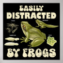 Search for funny frog posters Frogs