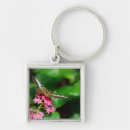 Search for moth square key rings Nature