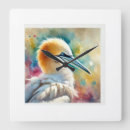 Search for gannets Animals